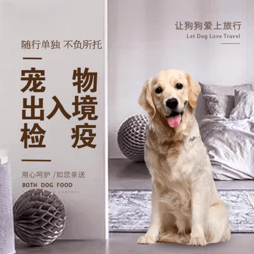 文山州宠物托运到哥伦比亚猫狗宠物入境规定和