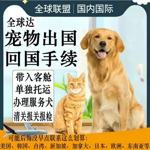 文山州宠物托运到柬埔寨宠物入境规定和要求