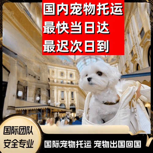 文山州到澳大利亚（澳洲）宠物入境规定和要求