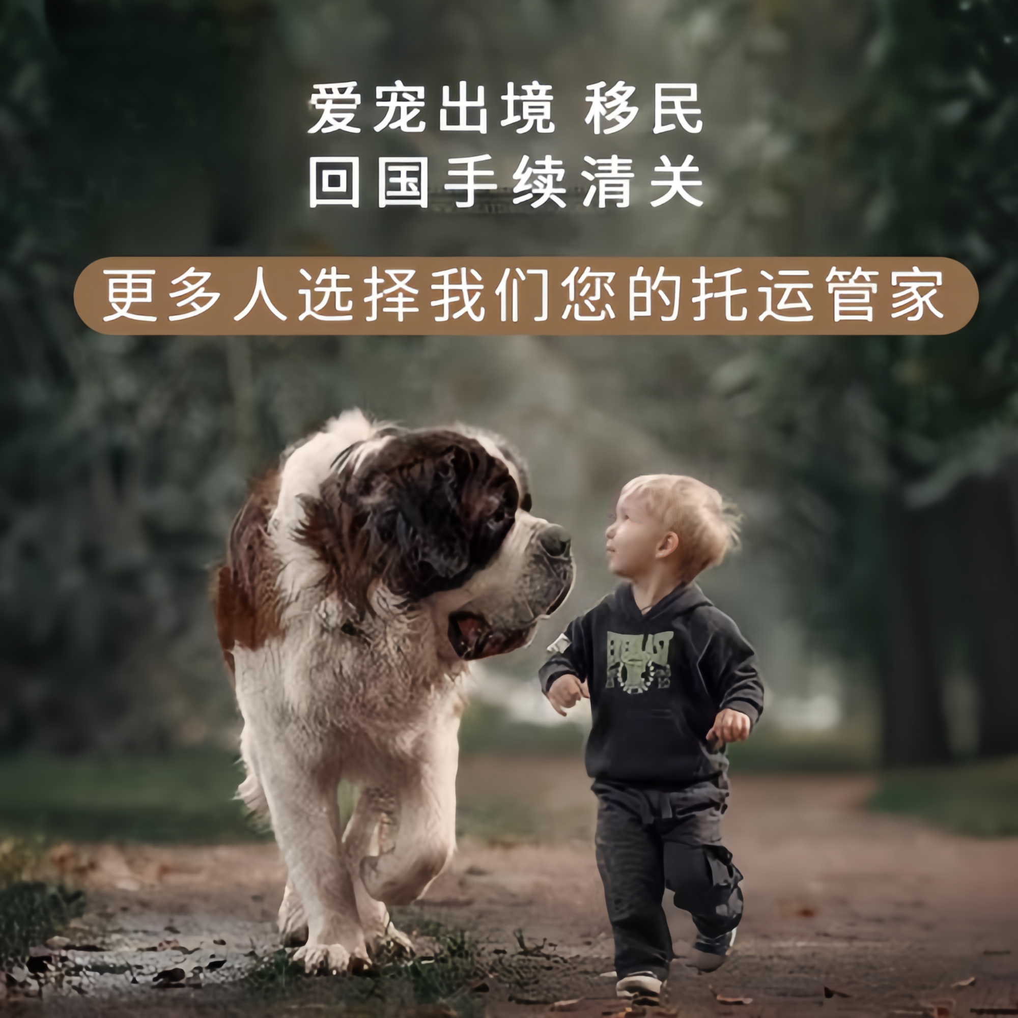 满财文山州宠物全球达宠物托运在遵守入境目的地政策的条件