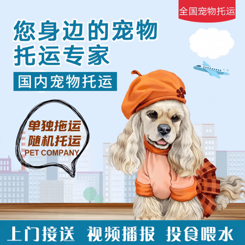 满财文山州宠物全球达宠物托运作为专业的宠物运输代理机构